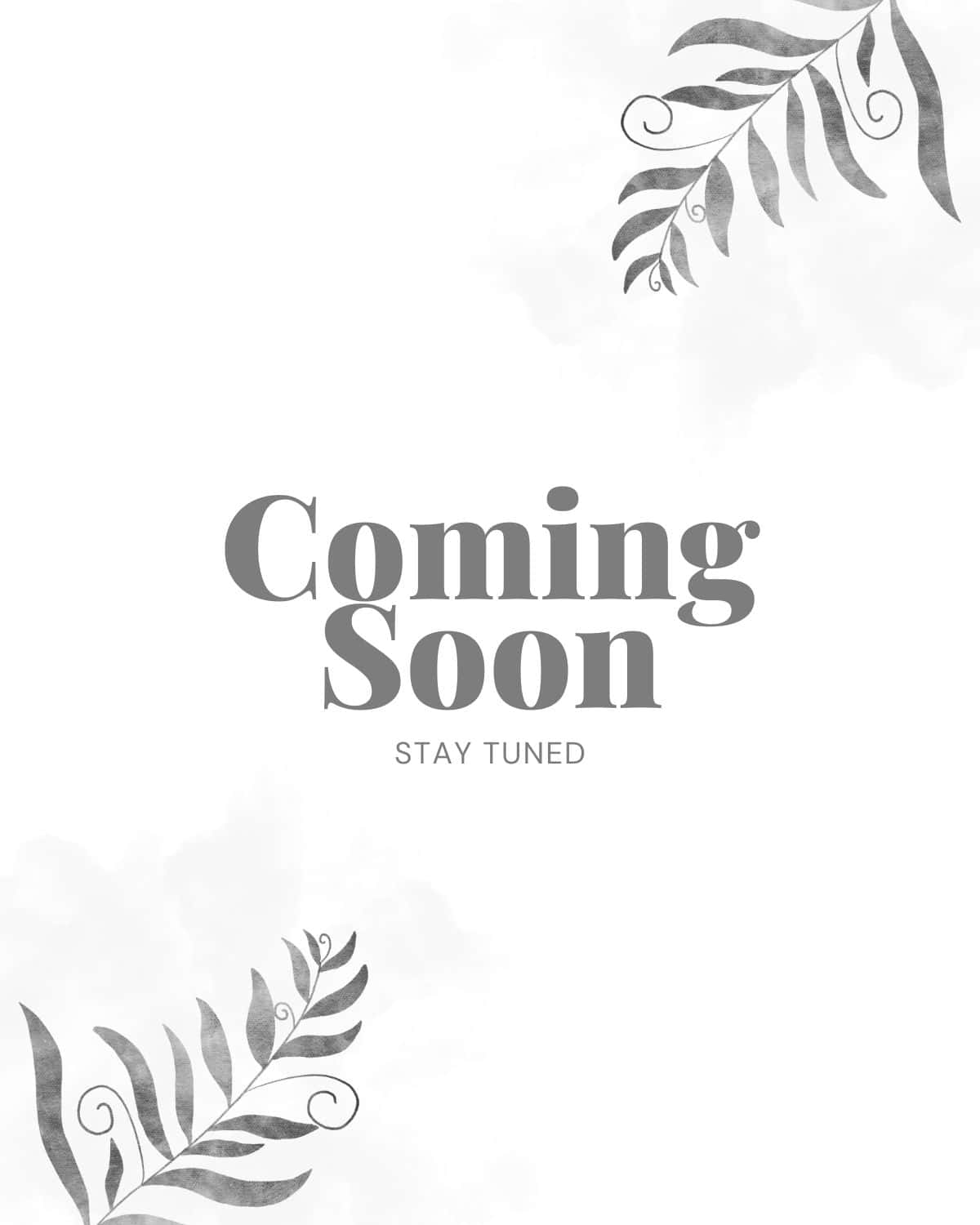 Black Palette Books Text reads "Coming Soon. Stay Tuned" in the center, hinting at a new arrival in our Shop category. The background is white with minimalist gray leafy designs in the corners, echoing the elegance of BP Products.